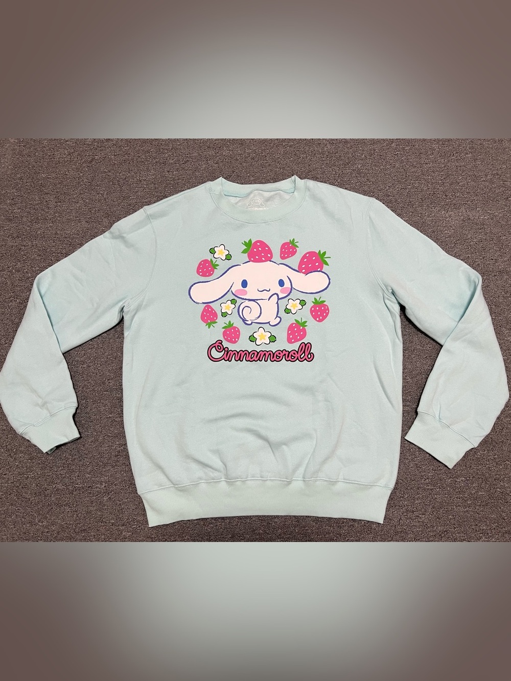 Sanrio Cinnamoroll Mint Pullover with Pink Strawberry Adult M